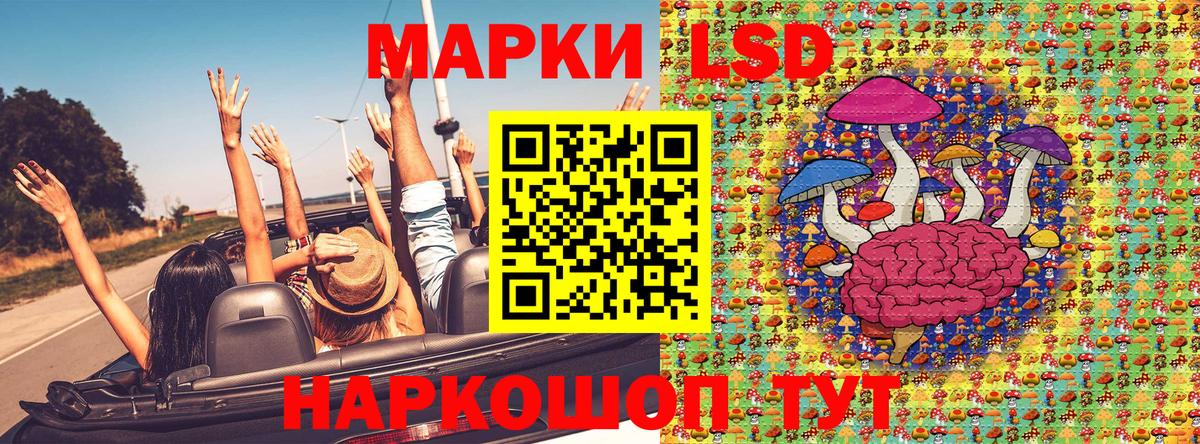Королёв  купить   Вход с VPN  Марки N-bome 1,5мг 